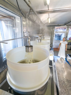 Milch in Becken einfüllen