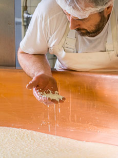 Käsermeister prüft Gerinnung