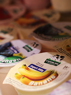 diverse Joghurts und Quark